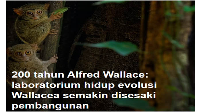 200 Tahun Alfred Wallace: Laboratorium Hidup Evolusi Wallacea Semakin Disesaki Pembangunan